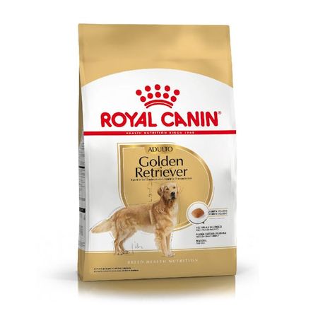 GOLDEN ADULT x 12 kg
