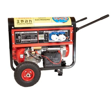 GRUPO ELECTROGENO TOAY JLD-WG800AE