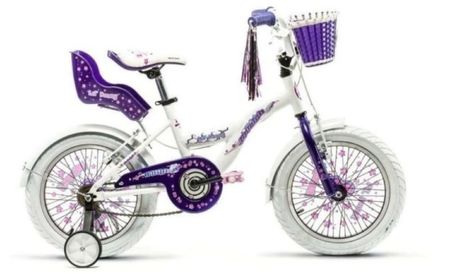 Bicicleta Raleigh R16 lilhon