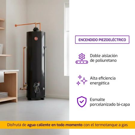 Termotanque Rheem Alta Potencia 160 Litros Apg160nrh07 Gas