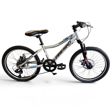Bicicleta Fire Bird Galaxy _Gris-Negro _Cuadro de acero _Freno a disco _7vel _  Rodado 20”