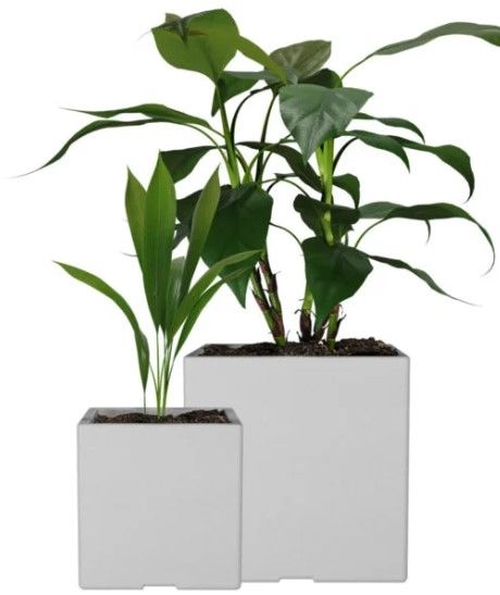 Set x2 Macetas Rotomoldeo Cubo 30/40 - Vista 5