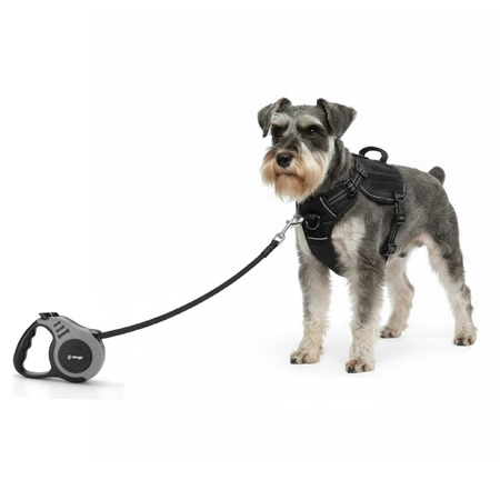 Combo Correa Retráctil S más Arnés Táctico Waggs Paseo Perro Gris