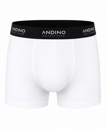 Boxer Andino