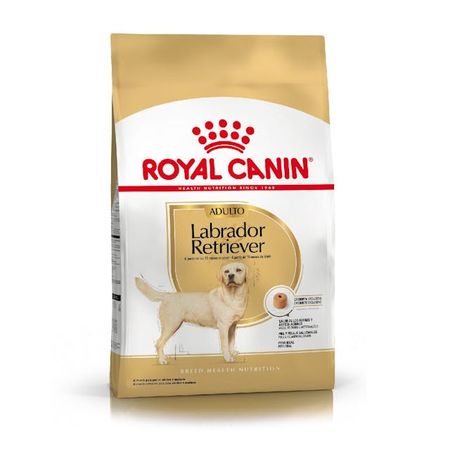 LABRADOR RETRIEVER 30 ADULT x 12 kg