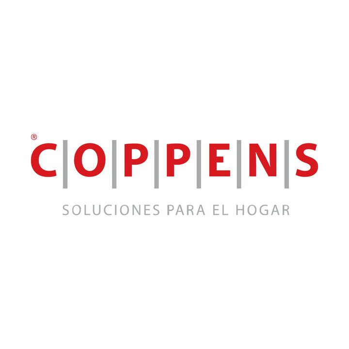 Calefactor Coppens Acero 6000tb Izquierdo Multigas C60BIPAM - Vista 3